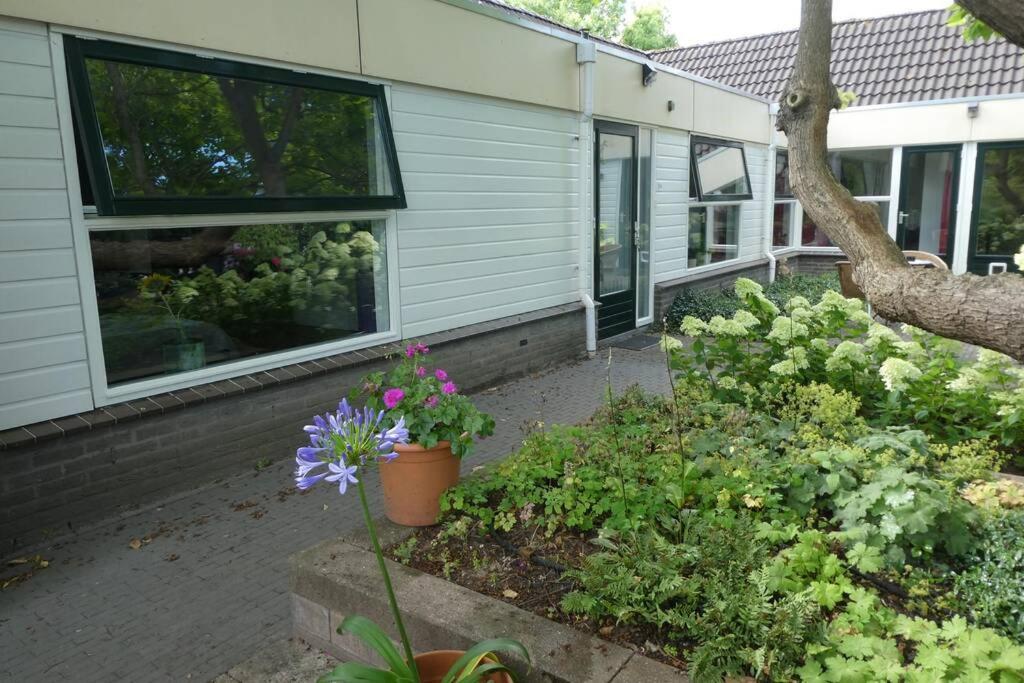 Huis Bij De Catalpa Dordrecht Eksteriør billede